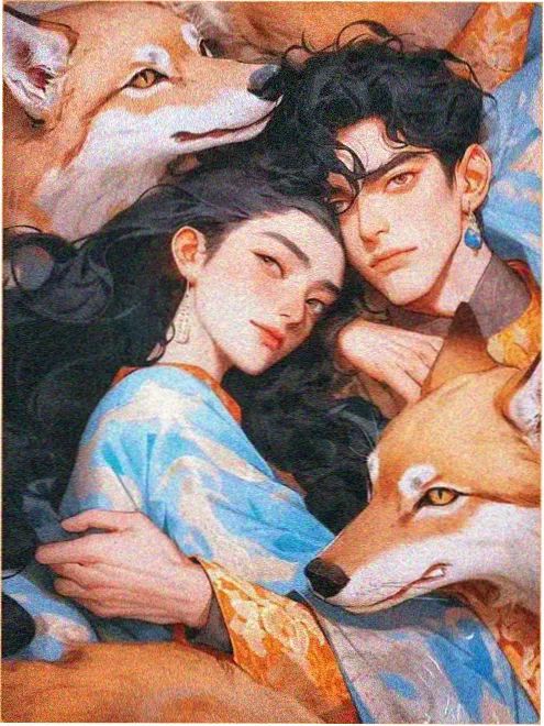 剧集封面